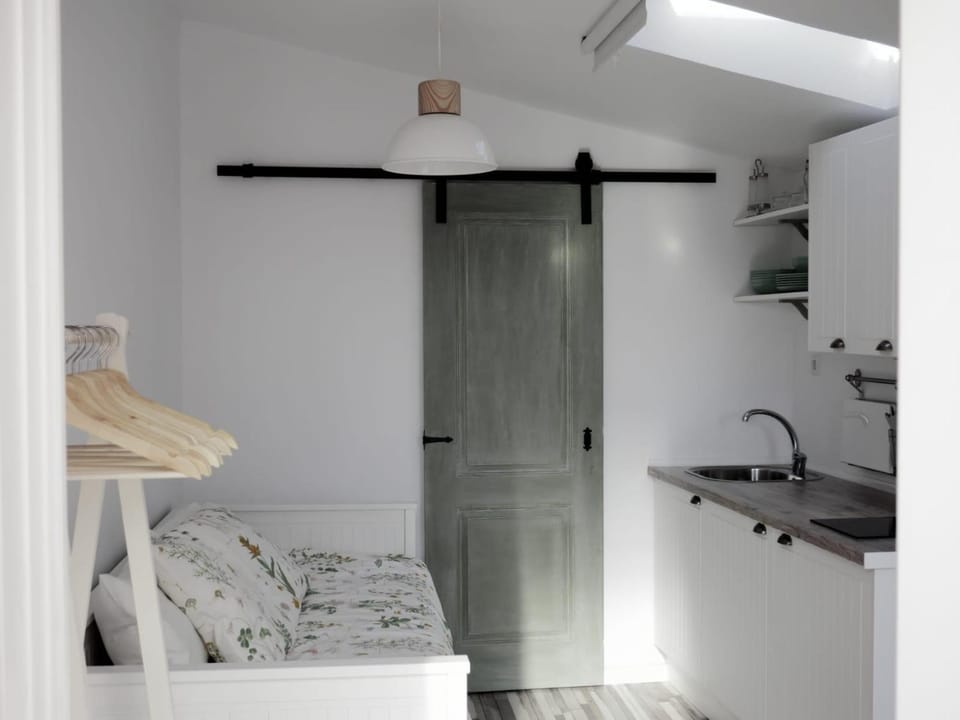 Bed, Kitchen or kitchenette, Photo of the whole room