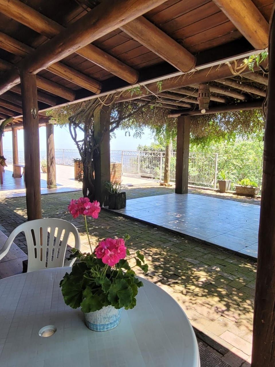 Garden, Balcony/Terrace