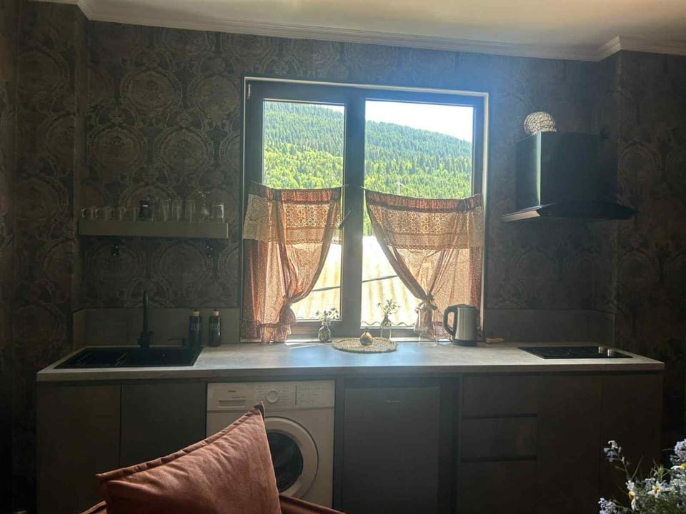 Nino Ratiani's Guesthouse Bed and Breakfast in Georgia