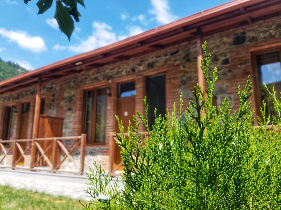 Borjomi Cottages Bed and Breakfast in Georgia