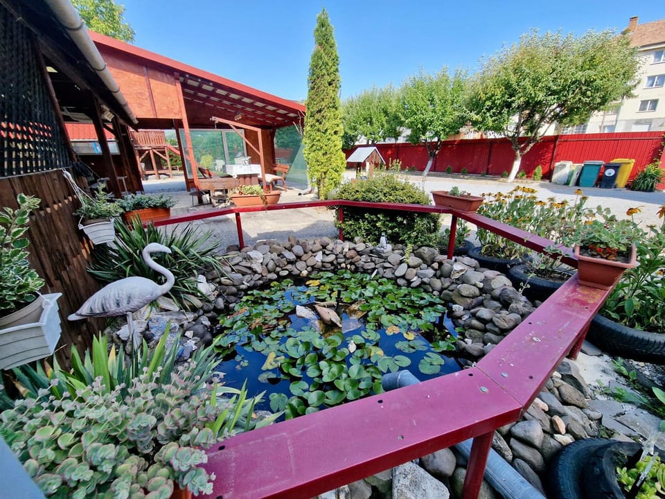 Casa Rica Vendégház Vacation rental in Romania