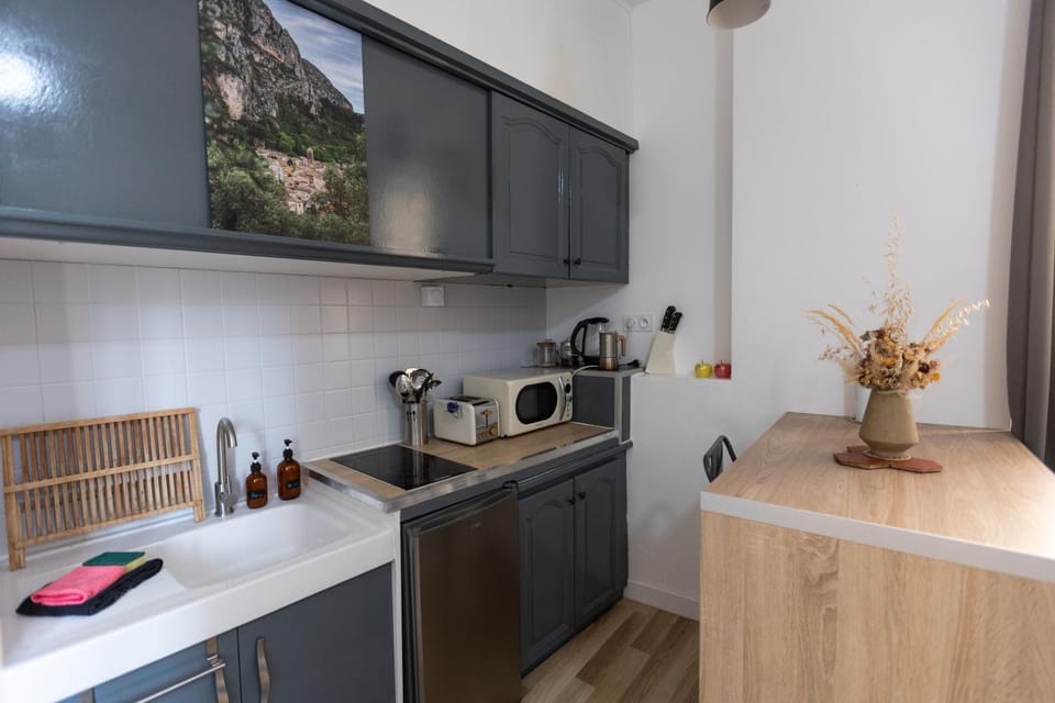 Studio vue sur le rocher Apartment in Provence-Alpes-Côte d'Azur