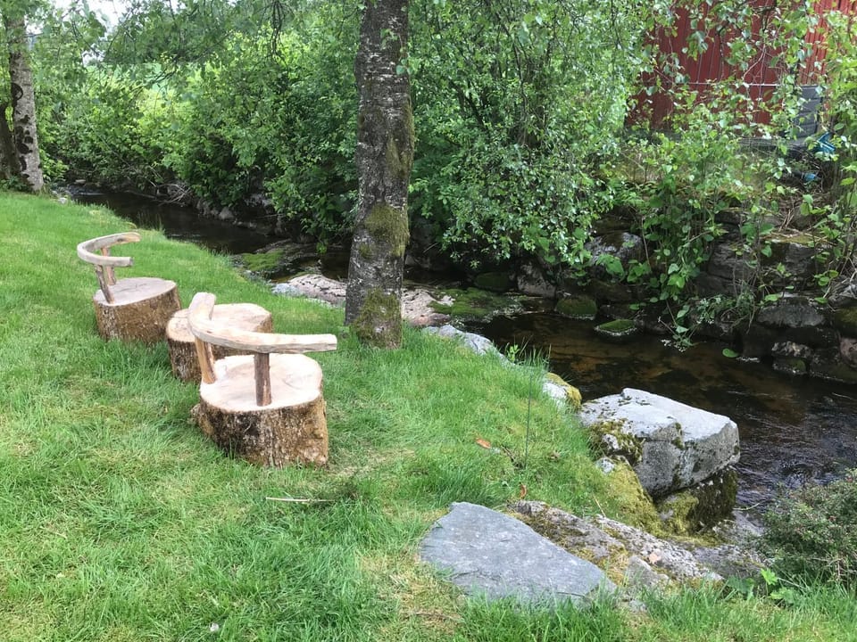 Natural landscape, Garden, River view