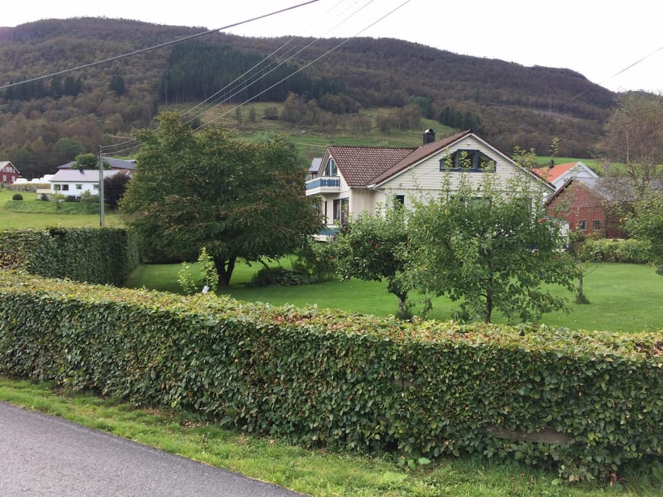Neighbourhood, Garden