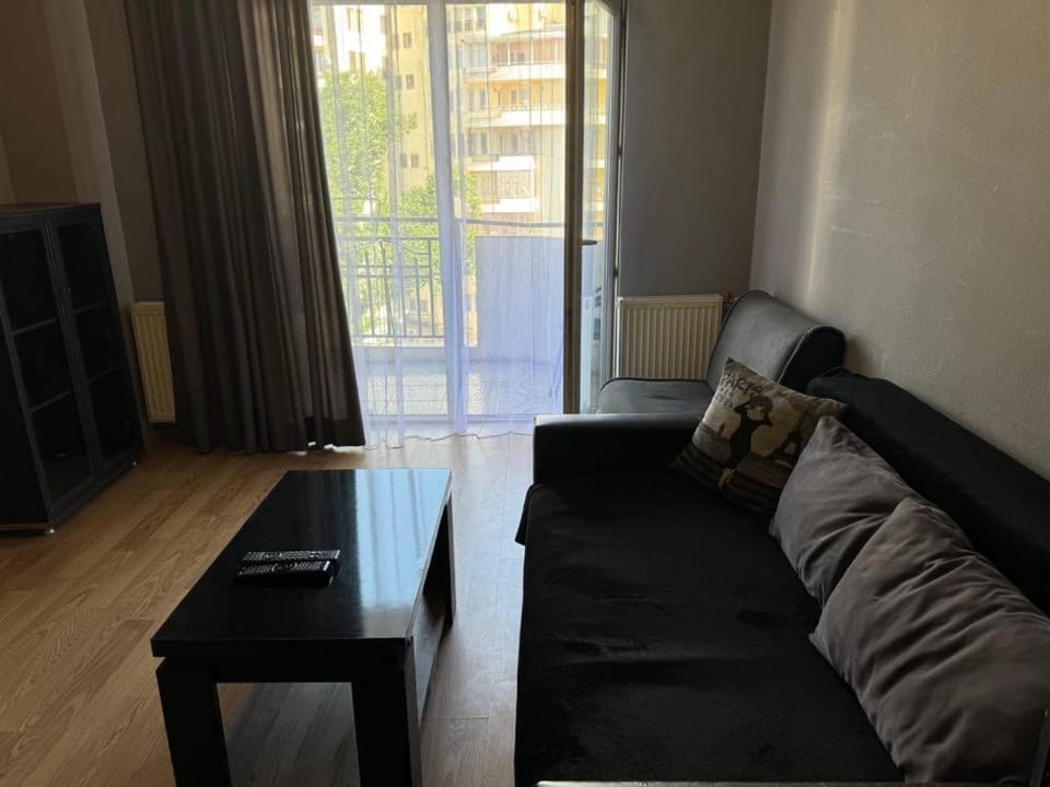 Cozy Rental Near Metro Apartment in Tbilisi, Georgia