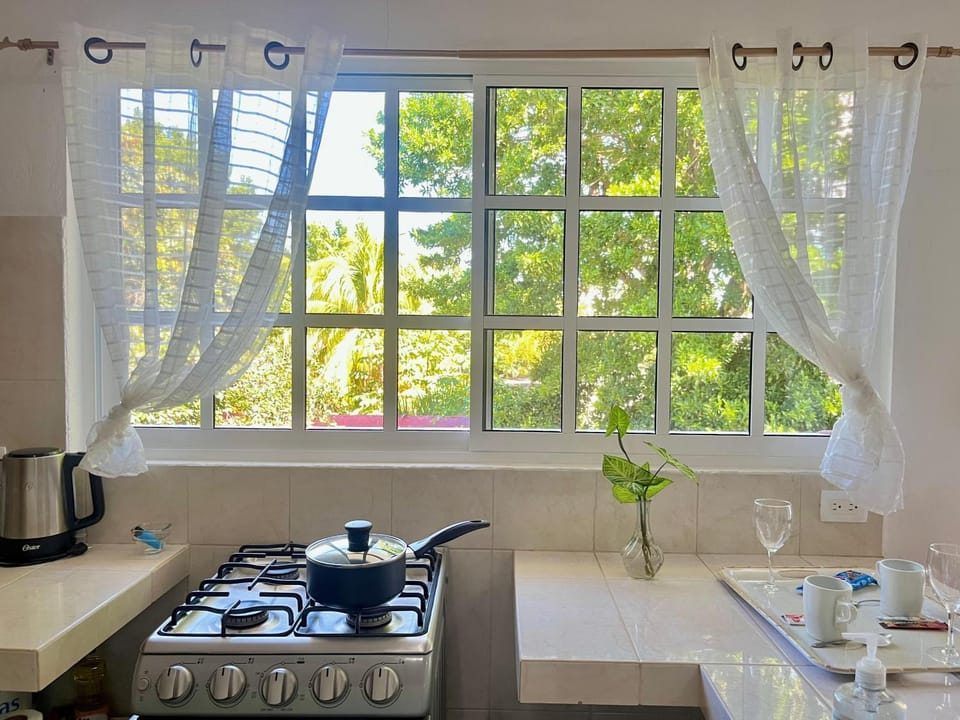 Kitchen or kitchenette, stove