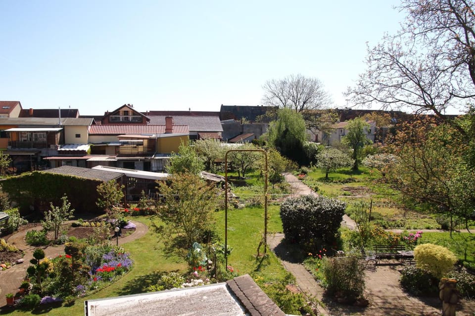 Garden view