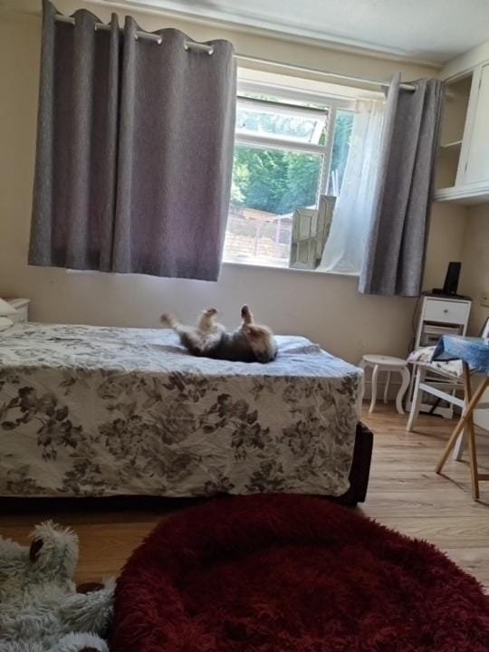 Kings Room Apartment in Luton