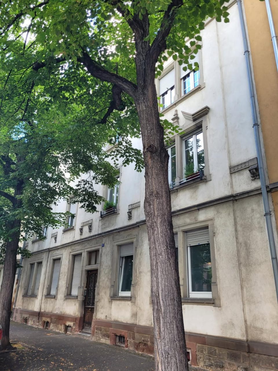 Property building