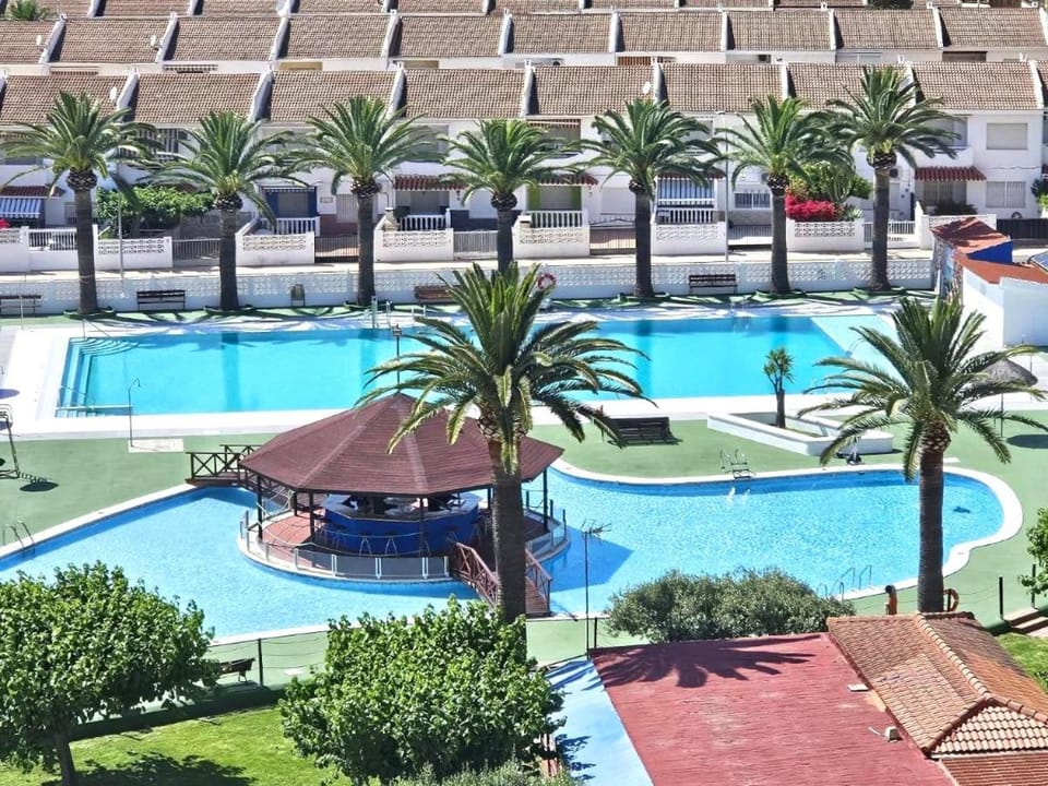 Day, Garden, Lounge or bar, Pool view, Swimming pool, sunbed
