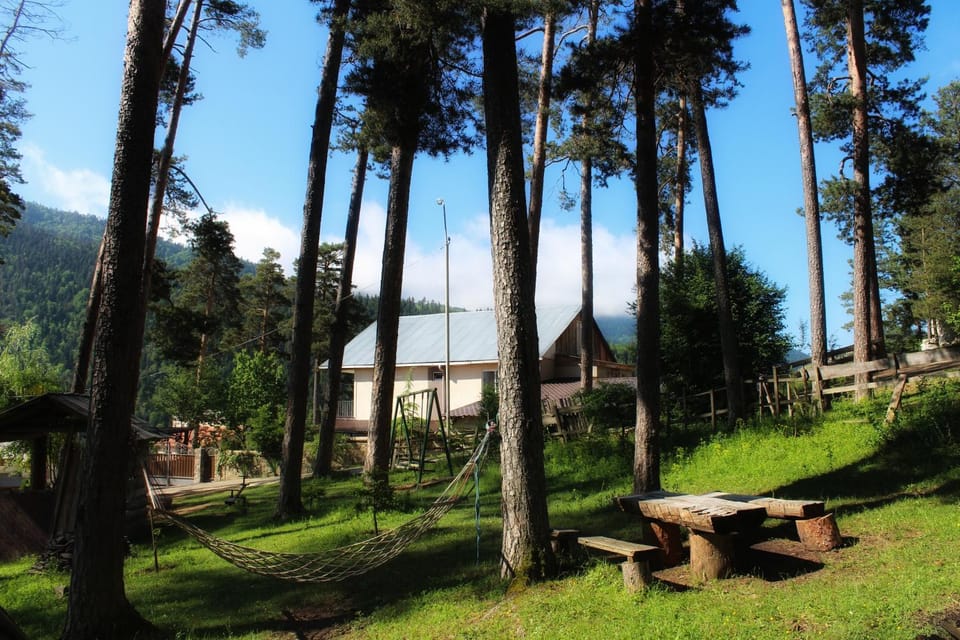 Nearby landmark, Natural landscape, Garden, Garden view, Mountain view