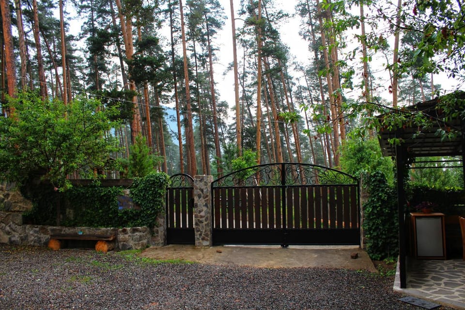 Natural landscape, Garden, Garden view