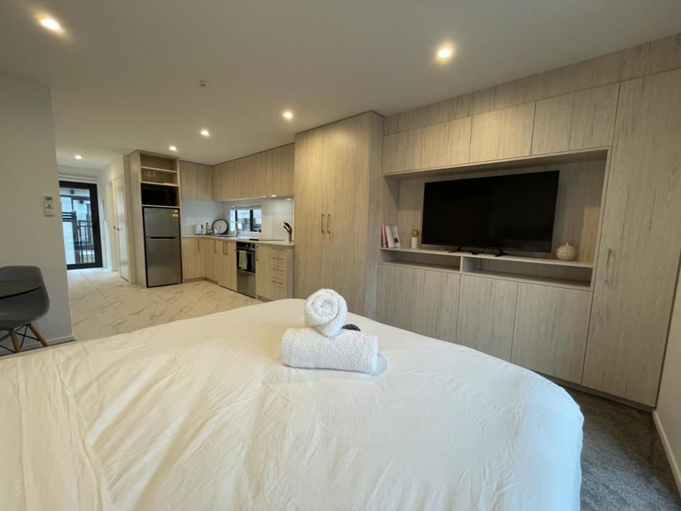 Cityside Studio Apartment Apartment in Christchurch