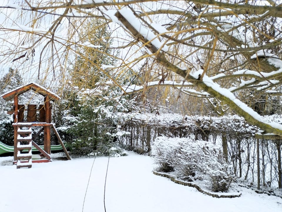 Winter, Garden view
