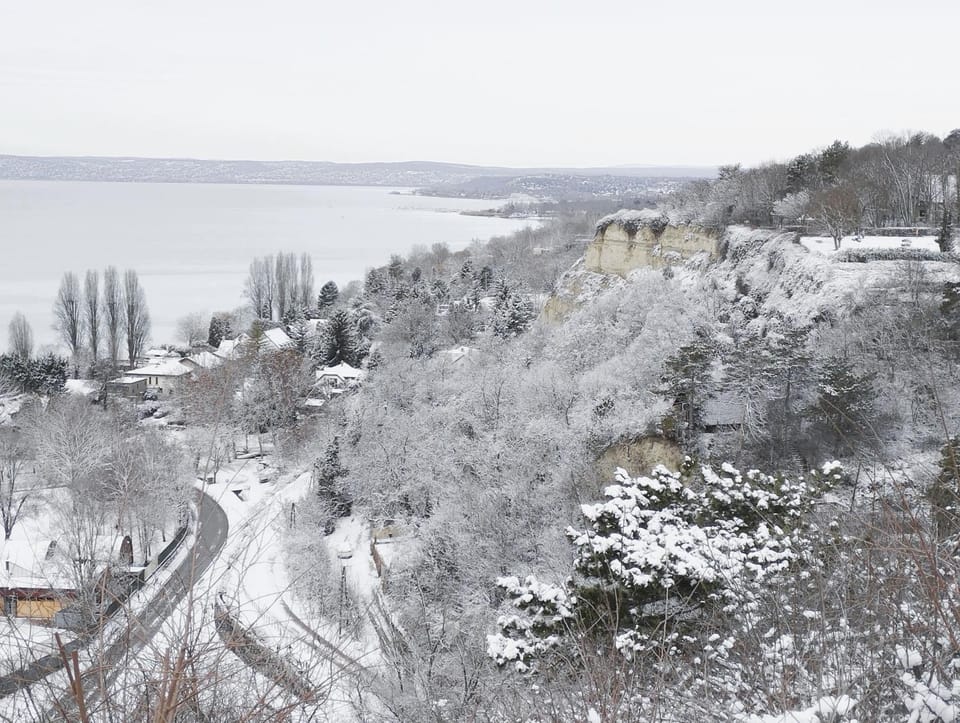 Neighbourhood, Natural landscape, Winter