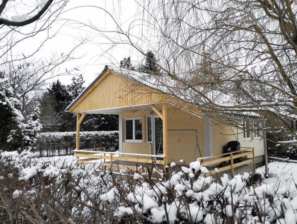 Property building, Winter