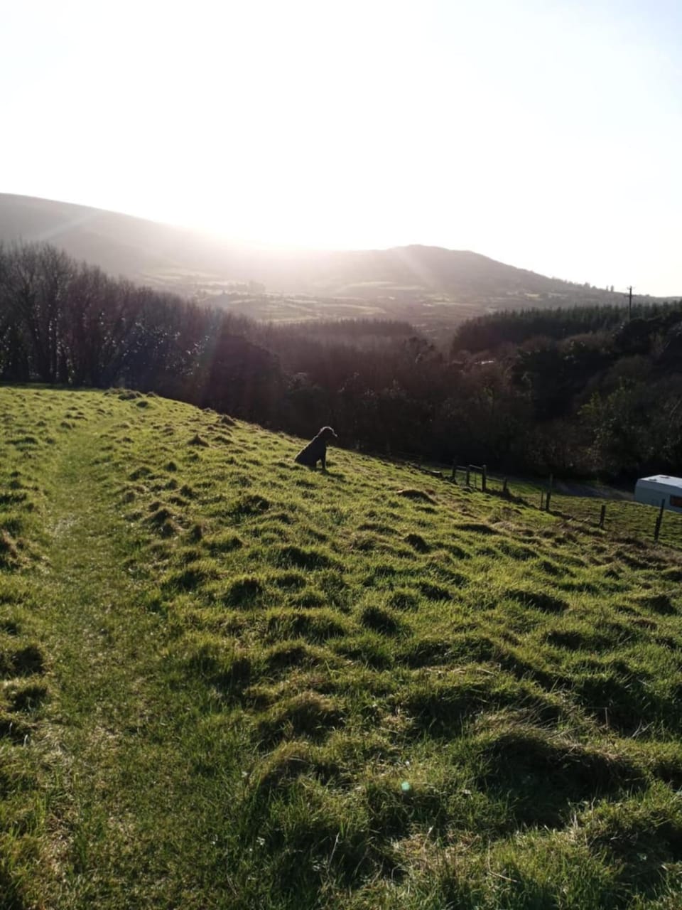 Myrtle the Yurt Apartment in County Kerry
