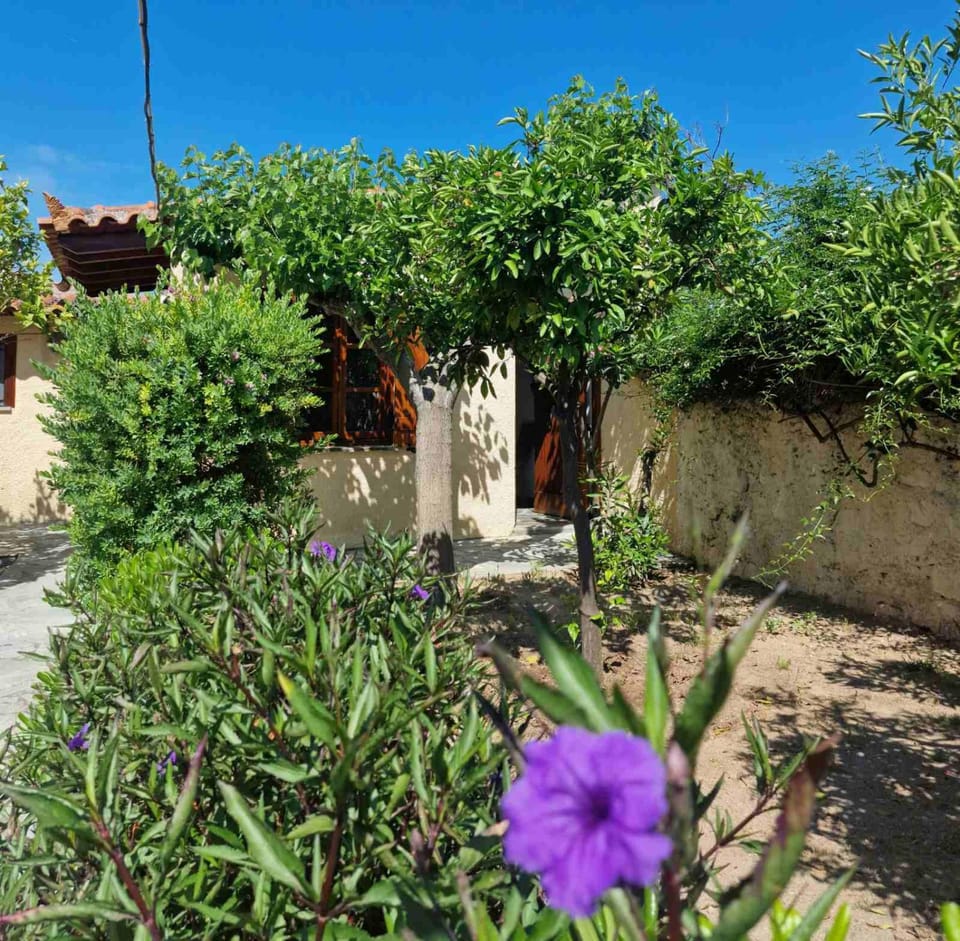 Garden, Balcony/Terrace