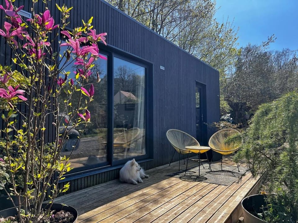 Day, Garden, Balcony/Terrace