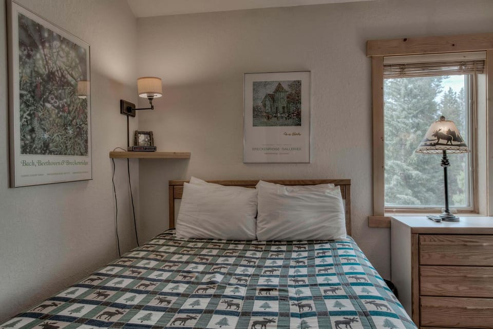 4 O' Clock Ski-In Walk to Downtown Breckenridge House in Breckenridge