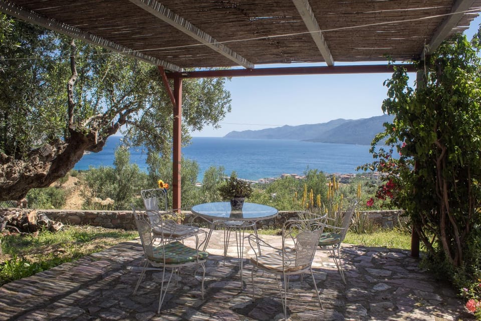 Patio, Patio