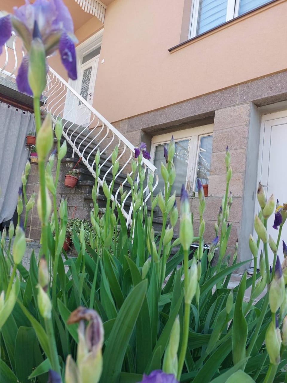 Spring, Day, Garden, Garden view