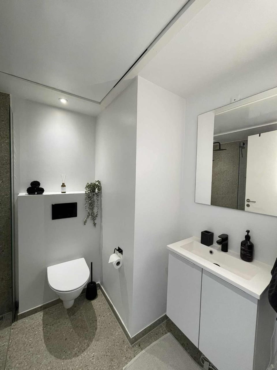 Toilet, Bathroom