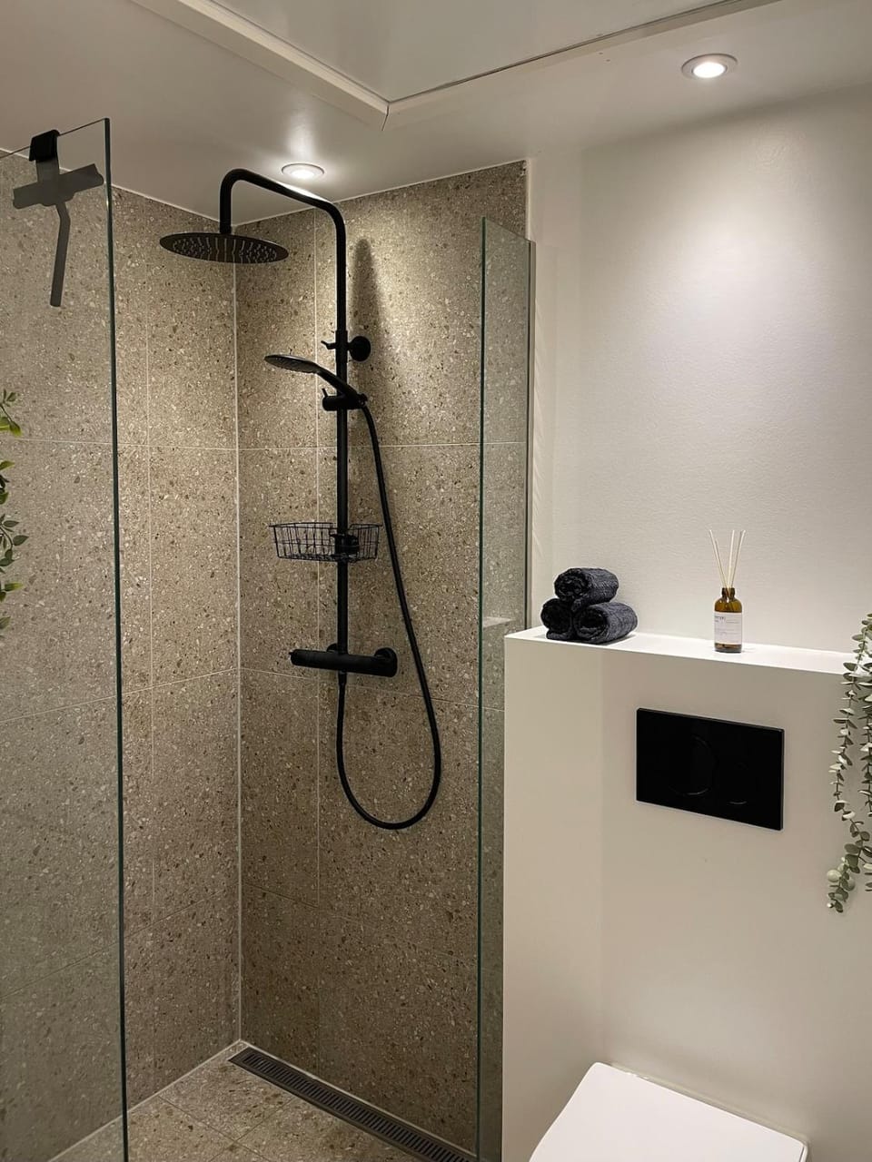 Shower, Toilet, Bathroom, towels