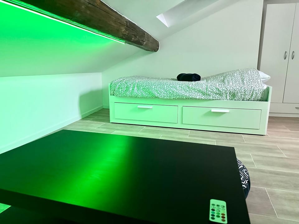 Le Graoully 2 Apartment in Metz