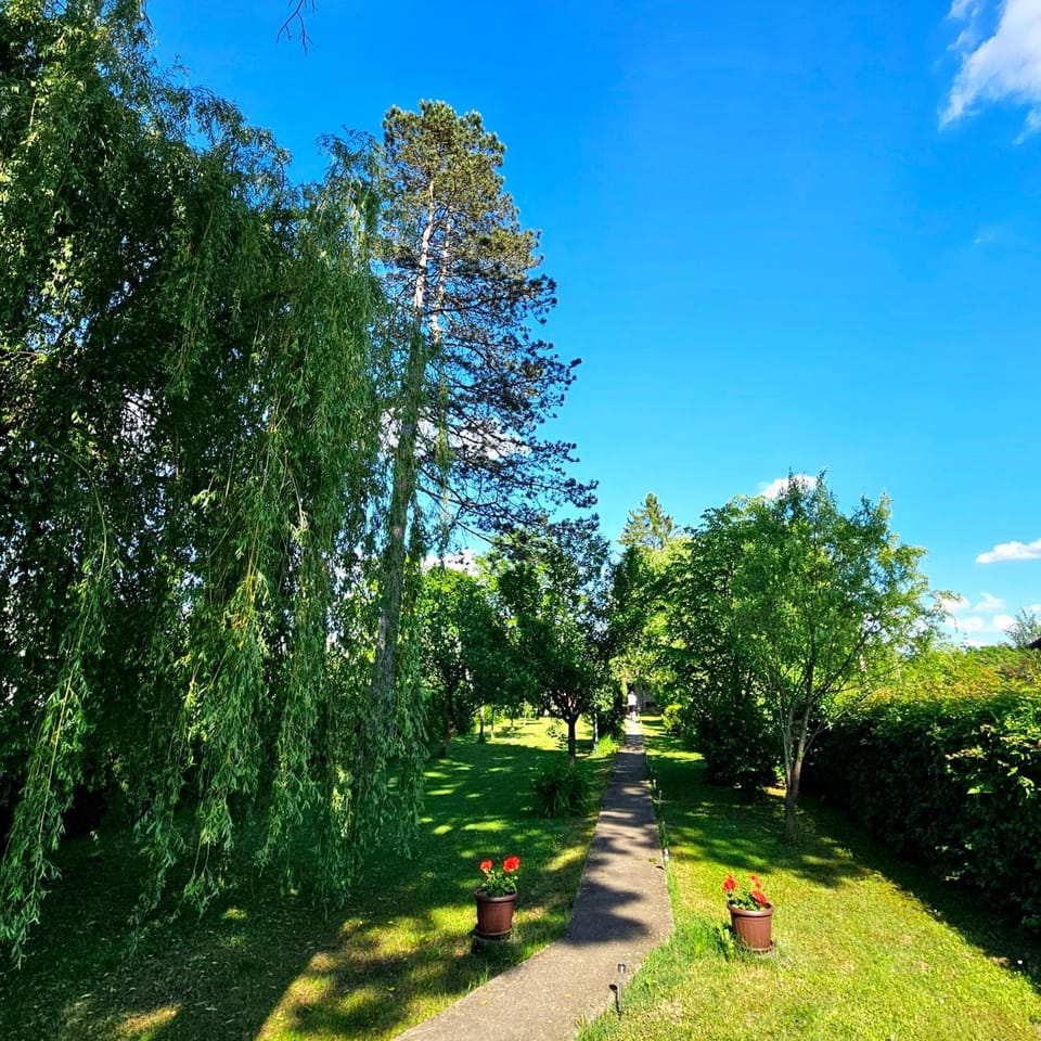 Spring, Day, Natural landscape, Summer, Garden, Garden view