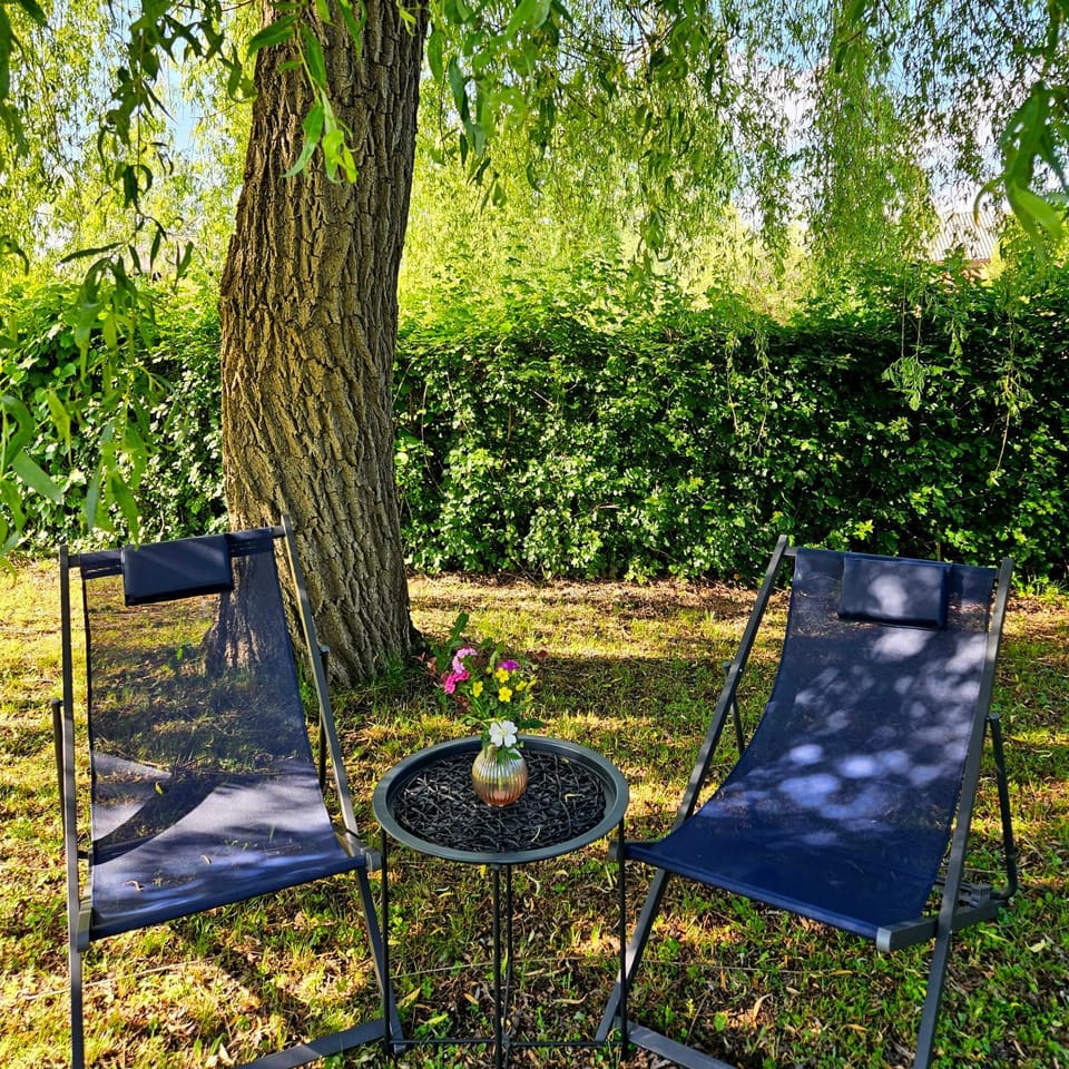 Spring, Day, Natural landscape, Garden, Garden view