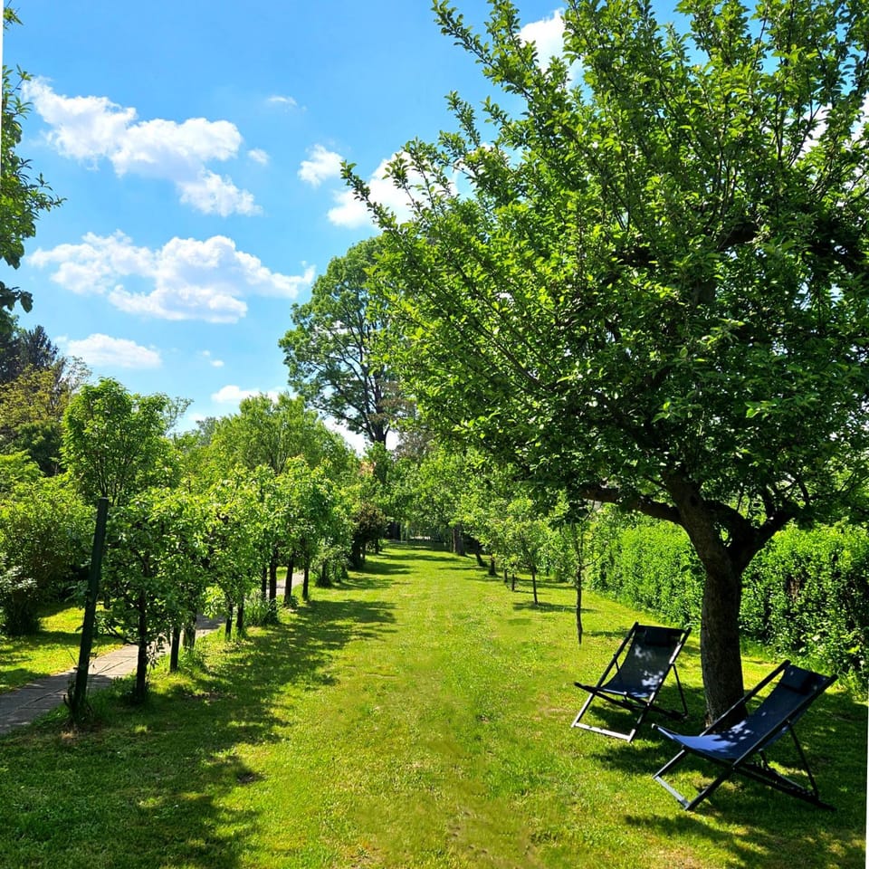 Spring, Day, Natural landscape, Summer, Garden, Garden view, sunbed