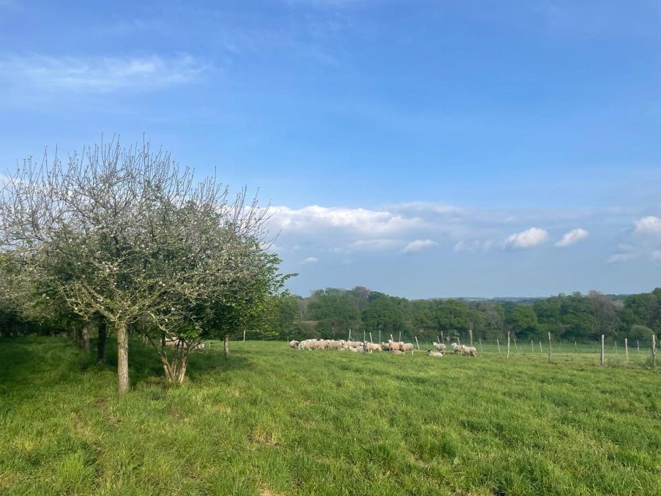 Gîte de penhaudan 1 House in Finistere