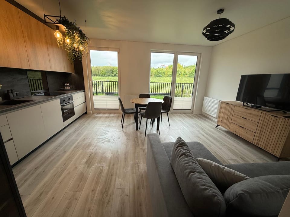 TV and multimedia, Kitchen or kitchenette, Living room, Seating area, Dining area, dishwasher, oven, stove