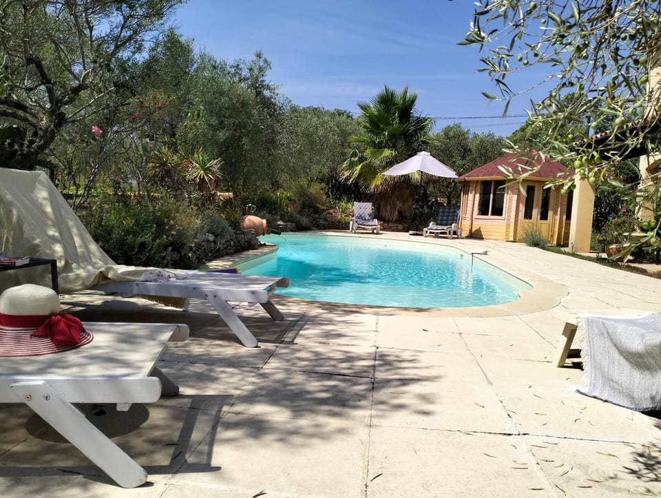 Day, Garden view, Swimming pool, sunbed
