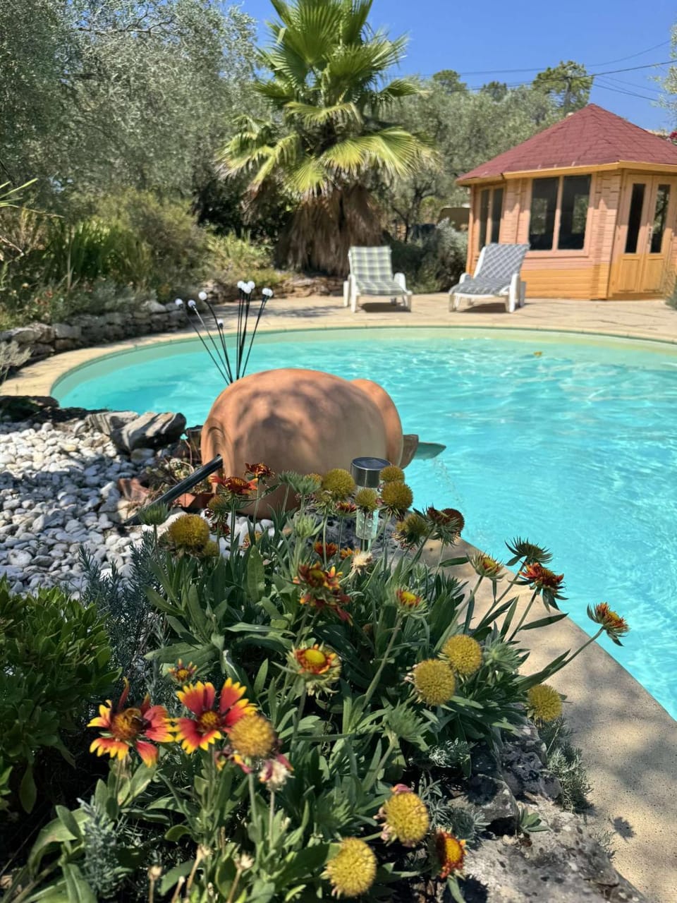 Garden, Garden view, Pool view
