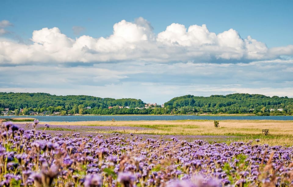 Natural landscape, Lake view