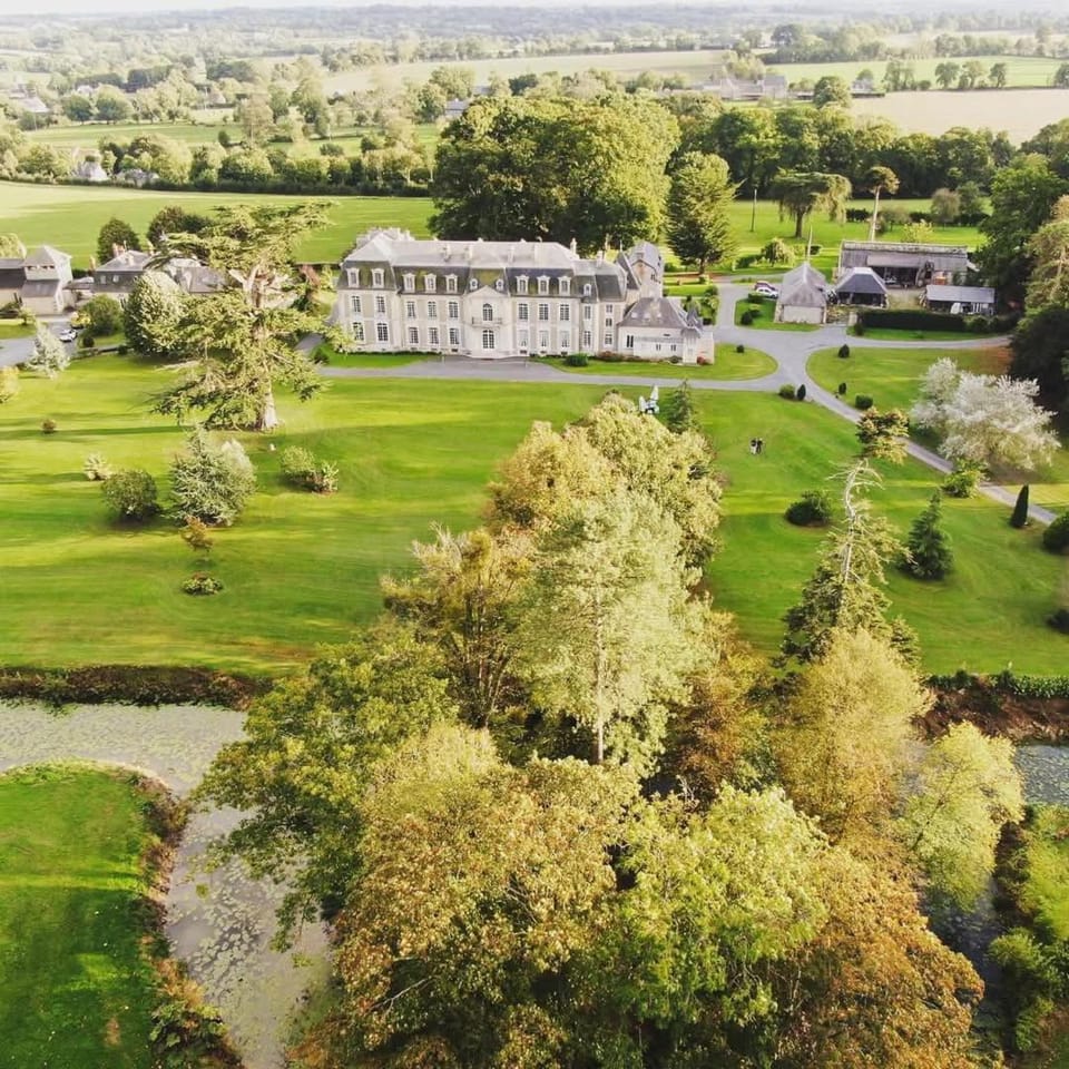 Bird's eye view, Garden, On site