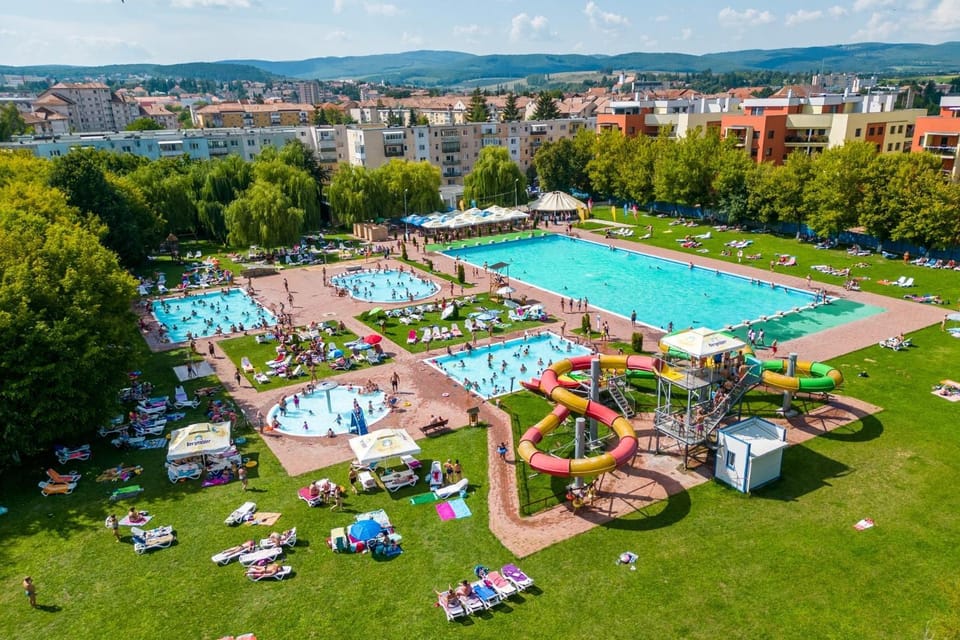 Garden, Aqua park, Garden view, Pool view, Swimming pool, sunbed