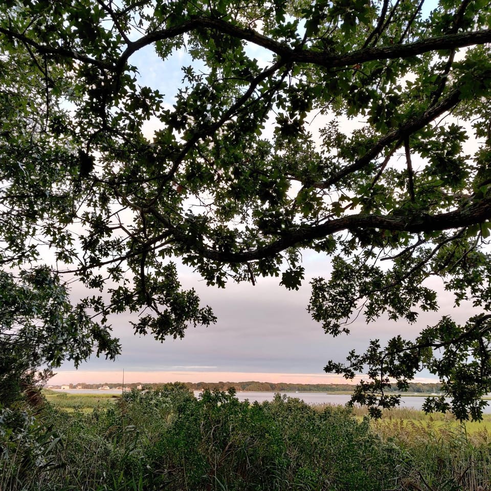 Bayfront & nature preserve! Apartment in Riverhead