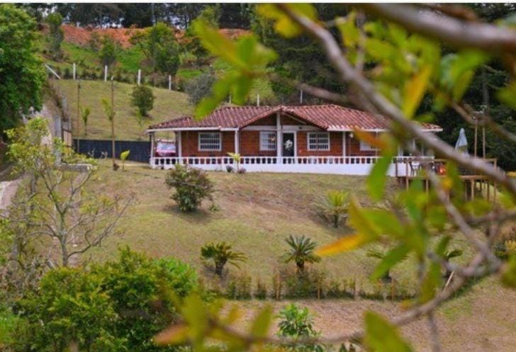 Property building, Natural landscape, Garden, Garden view