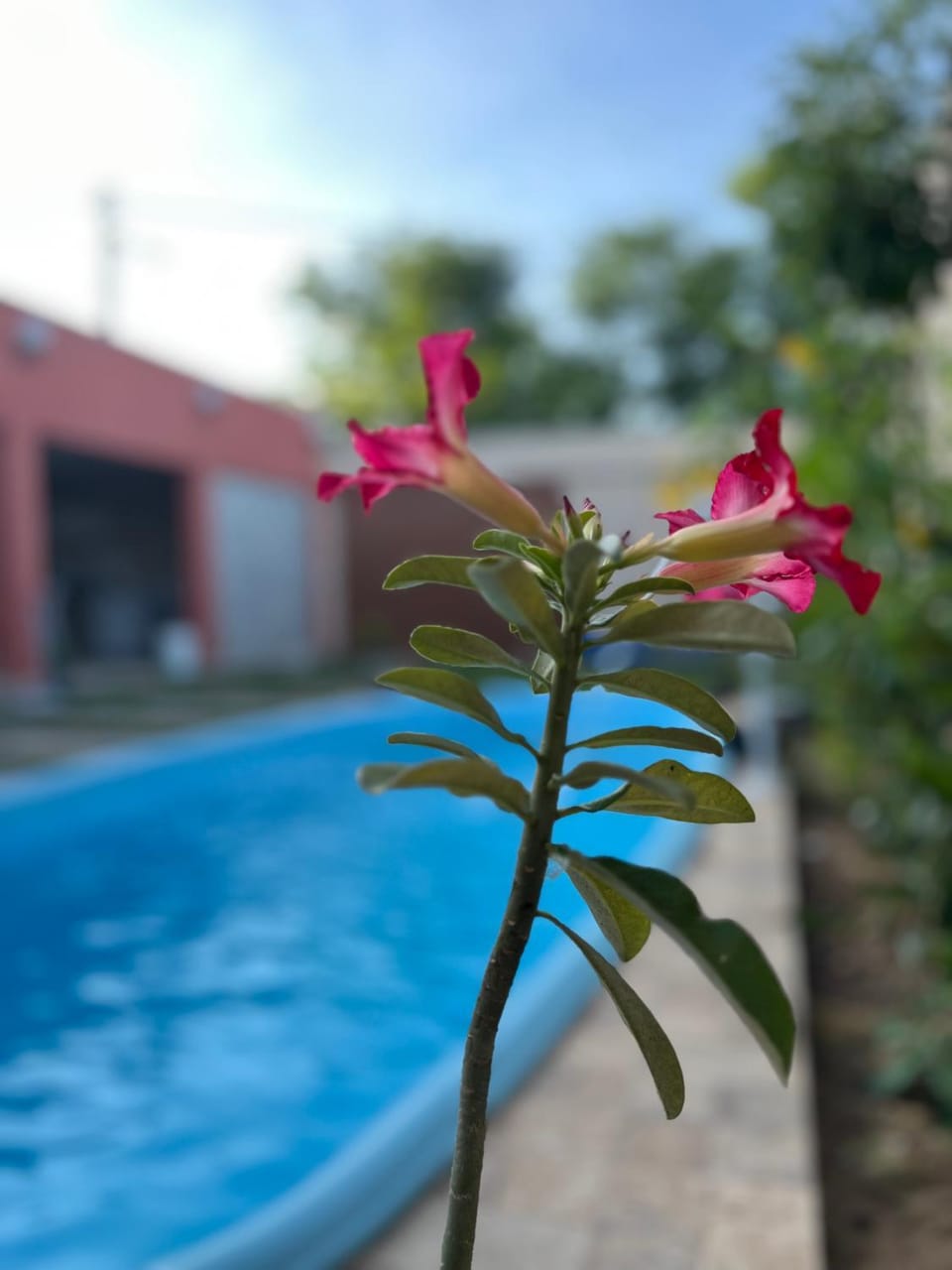 Espaço para lazer Nova Primavera House in State of Ceará