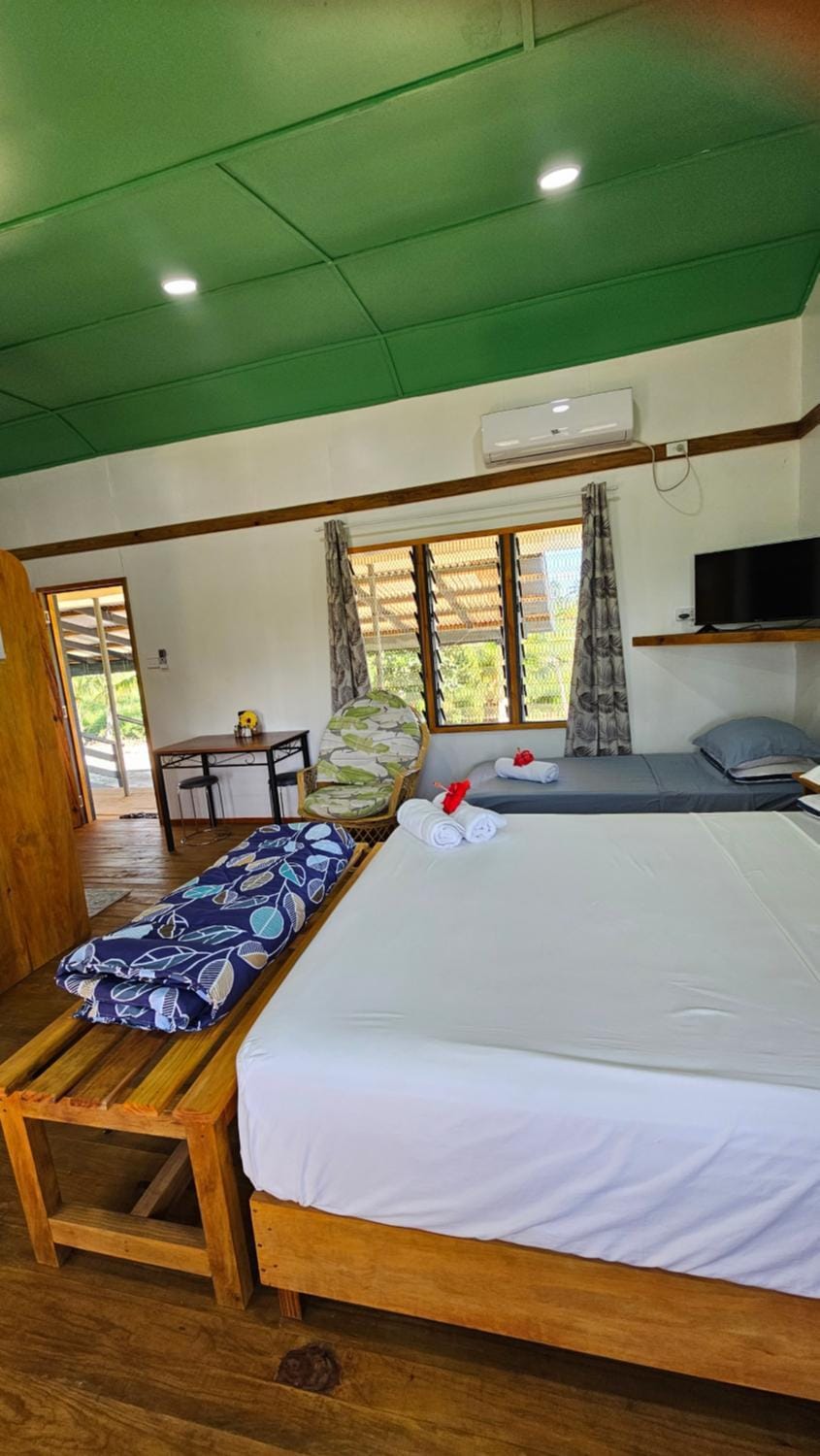 Bed, TV and multimedia, Living room, Photo of the whole room, Seating area, Bedroom