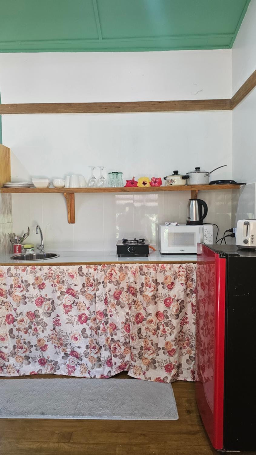 Coffee/tea facilities, Kitchen or kitchenette, stove, toaster