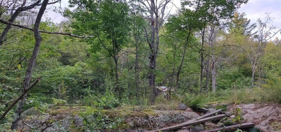 Bear Lake Cottage Campground/ 
RV Resort in Central Frontenac