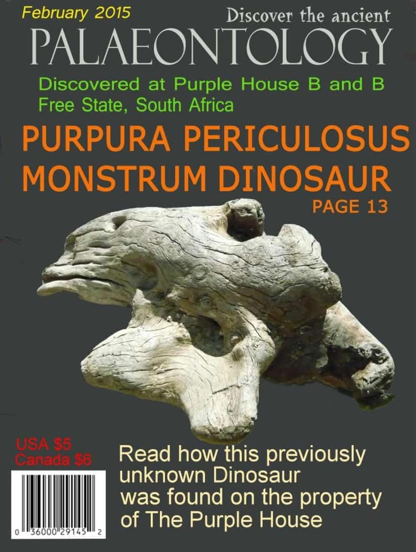Purple House B&B Smithfield Bed and Breakfast in Eastern Cape
