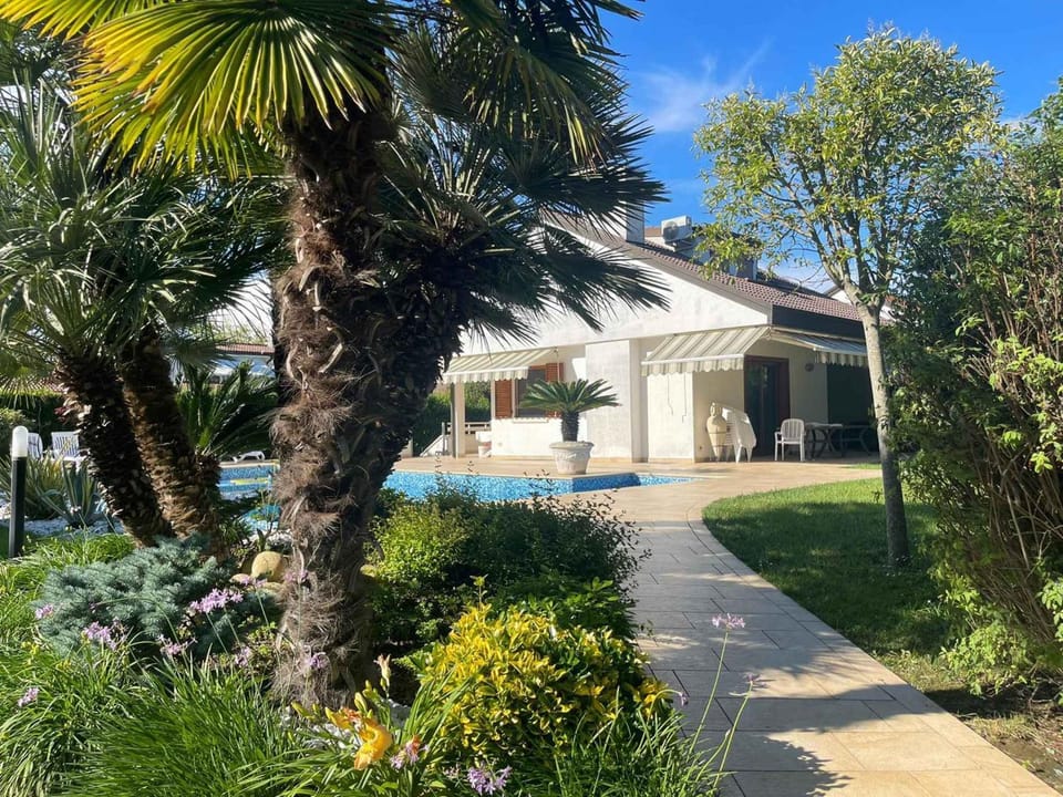 Property building, Summer