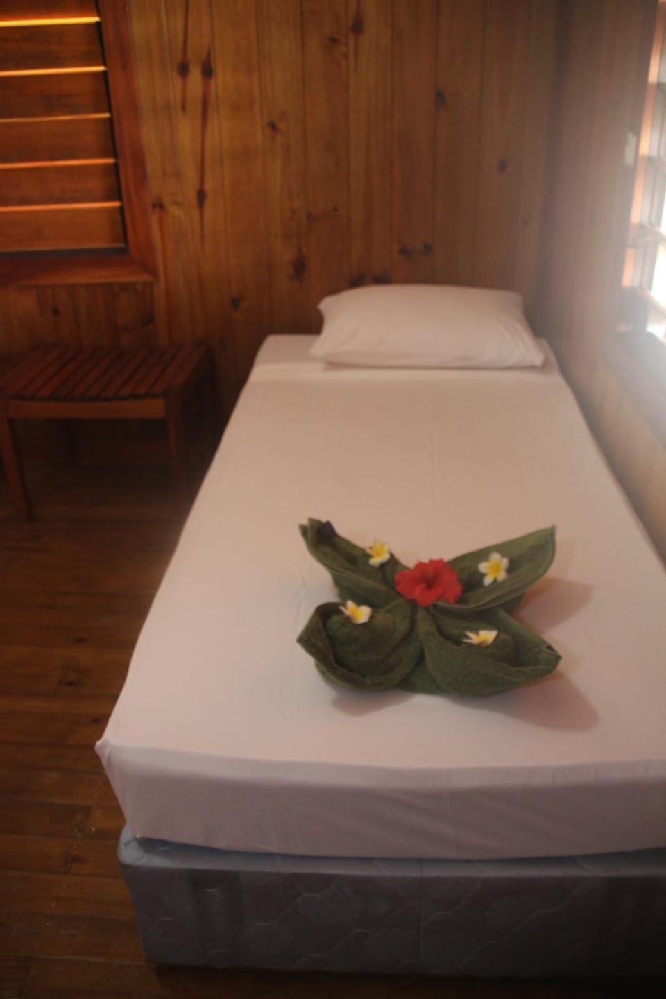 Mana Backpacker and Dive Resort Bed and Breakfast in Western Division, Fiji
