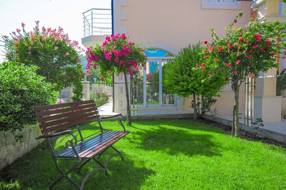 Day, Summer, Garden