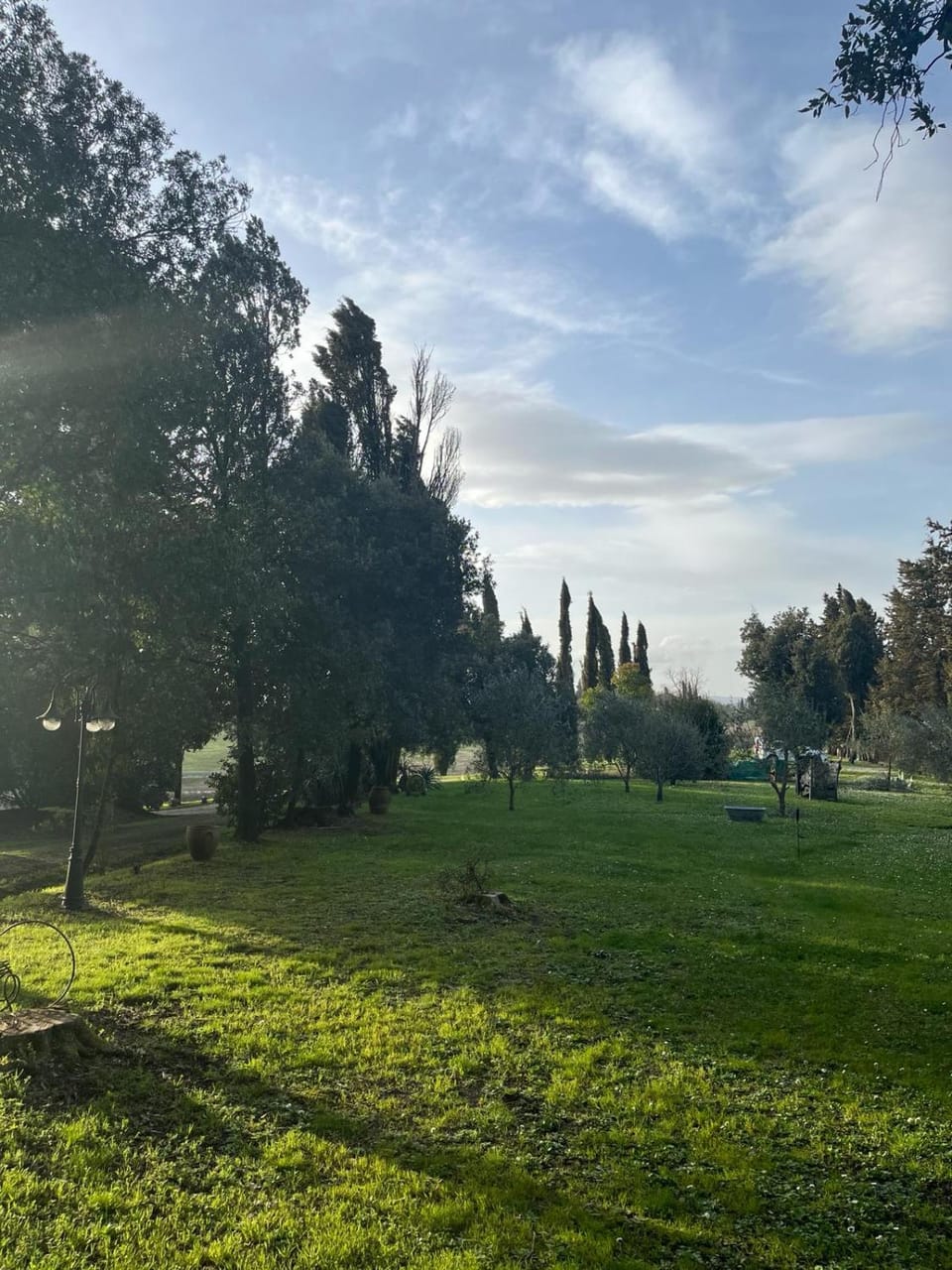 Spring, Natural landscape, Garden, Garden view